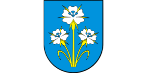 Logo firmy