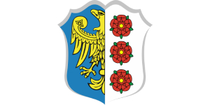 Logo firmy